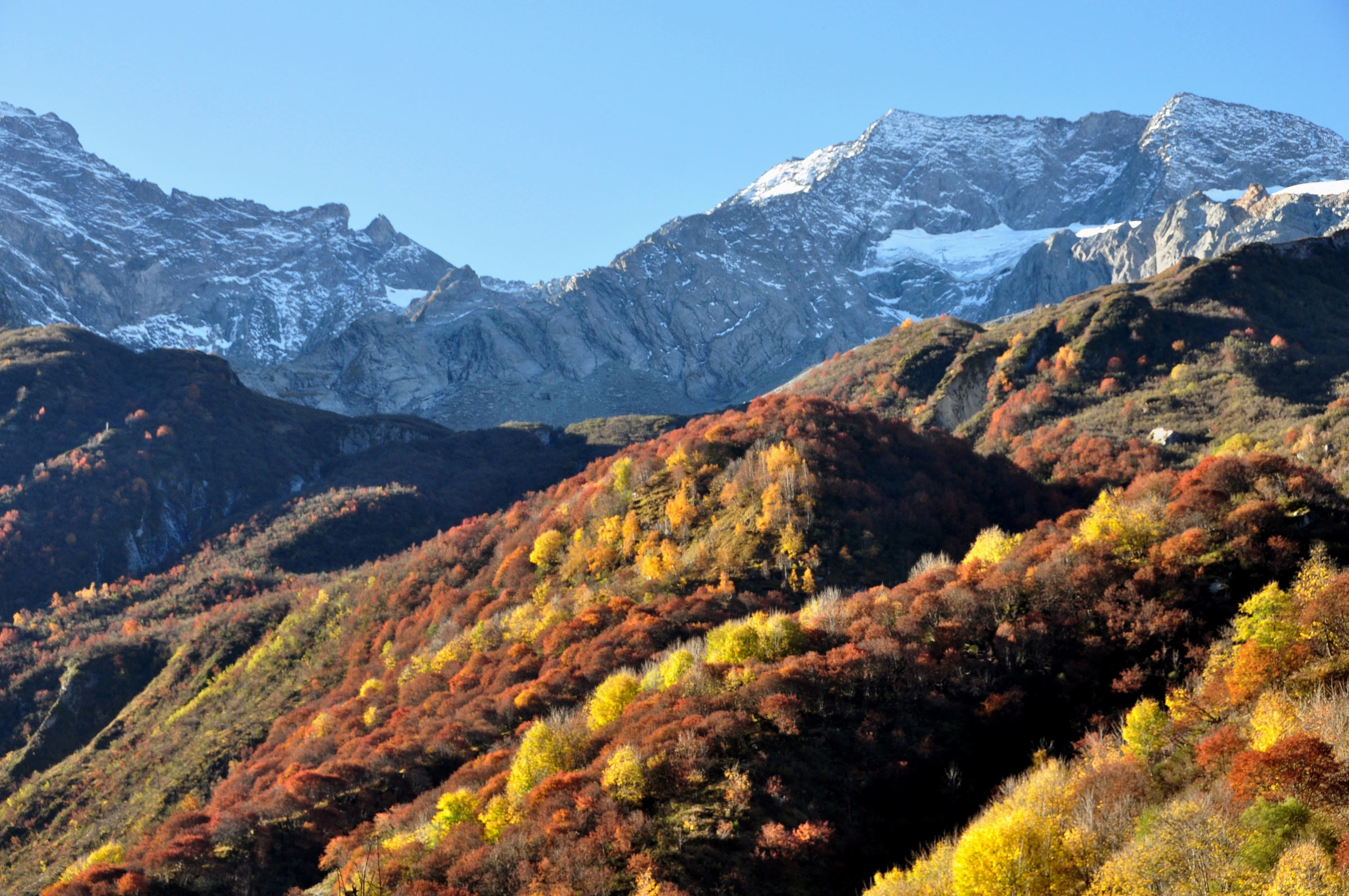 Le Laisonnay, Savoie